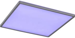 Rabalux 2291 - Plafonieră LED RGB dimabilă RASMUS LED/22W/230V + telecomandă