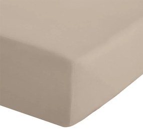 Cearceaf maro deschis din bumbac percale cu elastic 150x200 cm Easy Iron Percale – Catherine Lansfield