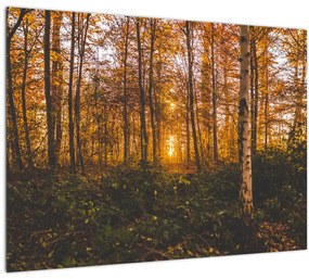 Tablou - Pădurea toamna (70x50 cm)