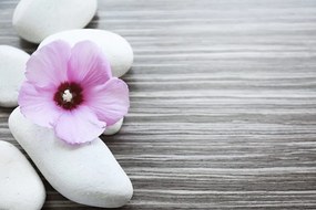 Fototapet interacțiune pietrelor și a floarelui roz