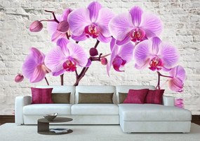 Fototapete, Orhideea roz pe un fundal de caramizi de culoare alba Art.01137