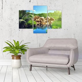 Tablou cu lac în jungla din Seychelles (90x60 cm)