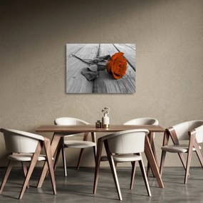 Tablou pe sticlă - Trandafir portocaliu (70x50 cm)