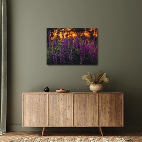 Tablou - Flori de lupin (70x50 cm)