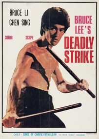 Ilustrație Bruce Lee's Deadly Strike