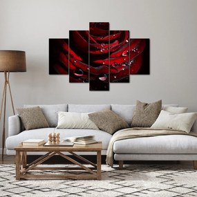 Tablou - Trandafir (150x105 cm)