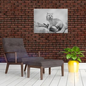 Tablou - Vulpe gri (70x50 cm)