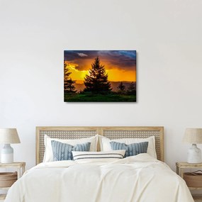 Tablou - coniferi (70x50 cm)