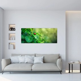 Tablou - Buburuza (120x50 cm)