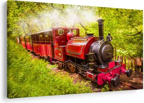 Tablou - Tren cu aburi (90x60 cm)