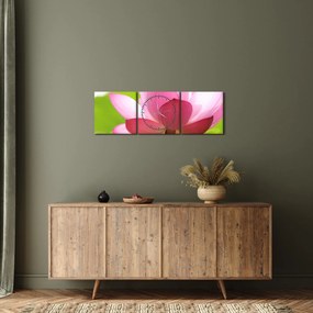 Tablou cu flori de lotus (cu ceas) (90x30 cm)