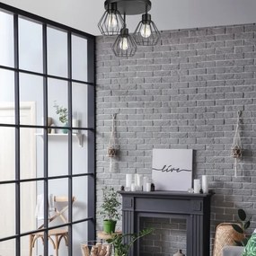 Lustră aplicată AUDREY 3xE27/60W/230V negru