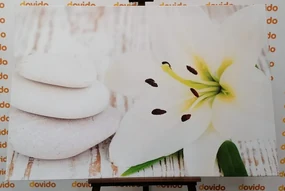 Tablou crinul și pietre de masaj în design alb