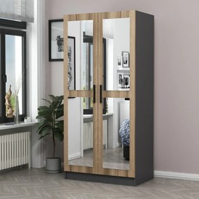 Dulap Kale Mirror Anthracite Oak - 190