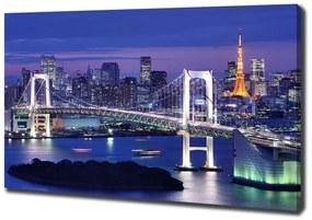 Tablou pe pânză Podul din tokyo