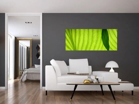 Tablou - Detaliu de frunză verde (120x50 cm)