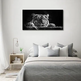 Tablou pe pânză canvas Tigru