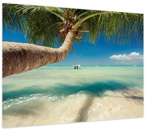 Tablou - Mare curată cu palmier (70x50 cm)