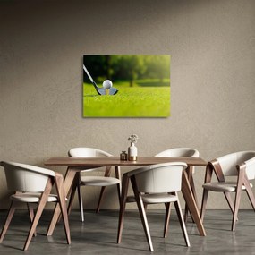 Tablou pe sticlă - Golf (70x50 cm)