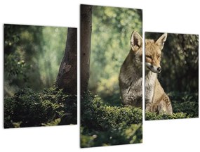Tablou cu vulpe (90x60 cm)