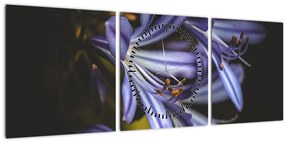 Tablou - Lila (cu ceas) (90x30 cm)