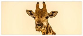 Tablou cu girafe (120x50 cm)