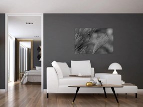 Tablou - Iarbă de pampas uscată (90x60 cm)