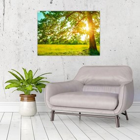 Tablou pe sticlă - Pădurea însorită (70x50 cm)