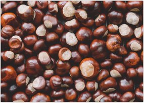 Tablou - Castane coapte (70x50 cm)