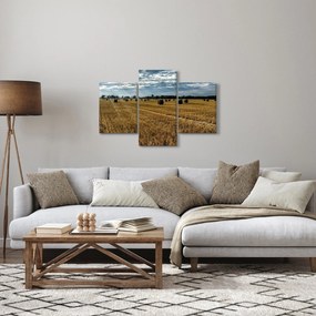 Tablou cu câmp recoltat (90x60 cm)