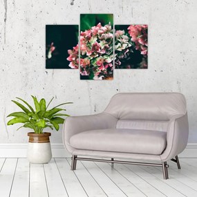 Tablou - Hortensie (90x60 cm)