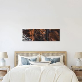 Tablou cu câini dormind (cu ceas) (90x30 cm)