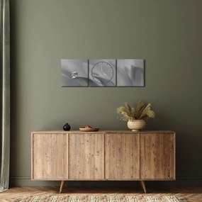 Tablou - Picătură pe floare,alb-negru (cu ceas) (90x30 cm)