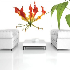 Fototapet - Flori (152,5x104 cm)
