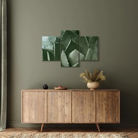 Tablou - Agave verde (90x60 cm)