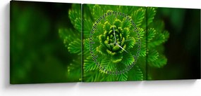 Tablou cu coniferi (cu ceas) (90x30 cm)