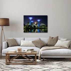 Tablou cu lună plină în grădinile din Singapur (70x50 cm)
