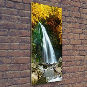 Tablou acrilic Cascada din pădure