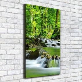 Tablou pe pânză canvas Branhii