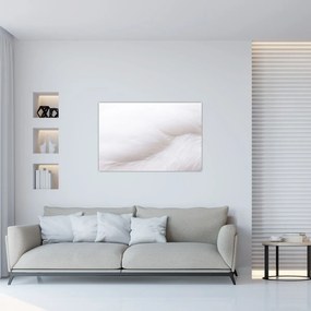 Tablou - Pană albă (90x60 cm)