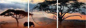 Tablou - Parcul Național Serengeti, Tanzania, Africa (cu ceas) (90x30 cm)