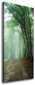 Print pe canvas Ceață în pădure