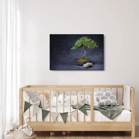 Tablou - Bonsai (90x60 cm)