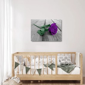Tablou pe sticlă - Trandafir violet cu tulpina verde (70x50 cm)