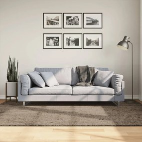 vidaXL Covor ISTAN, cu fire înalte, aspect lucios, gri, 160x230 cm