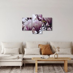 Tablou - Magnolie (90x60 cm)