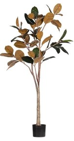 Ficus artificial (înălțime 170 cm) – WOOOD