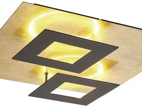 Plafoniera LED design ambiental DALIA Black/ gold