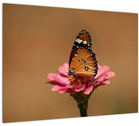 Tablou pe sticlă cu fluture pe floare (70x50 cm)