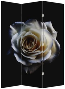 Paravan - Trandafir alb (126x170 cm)
